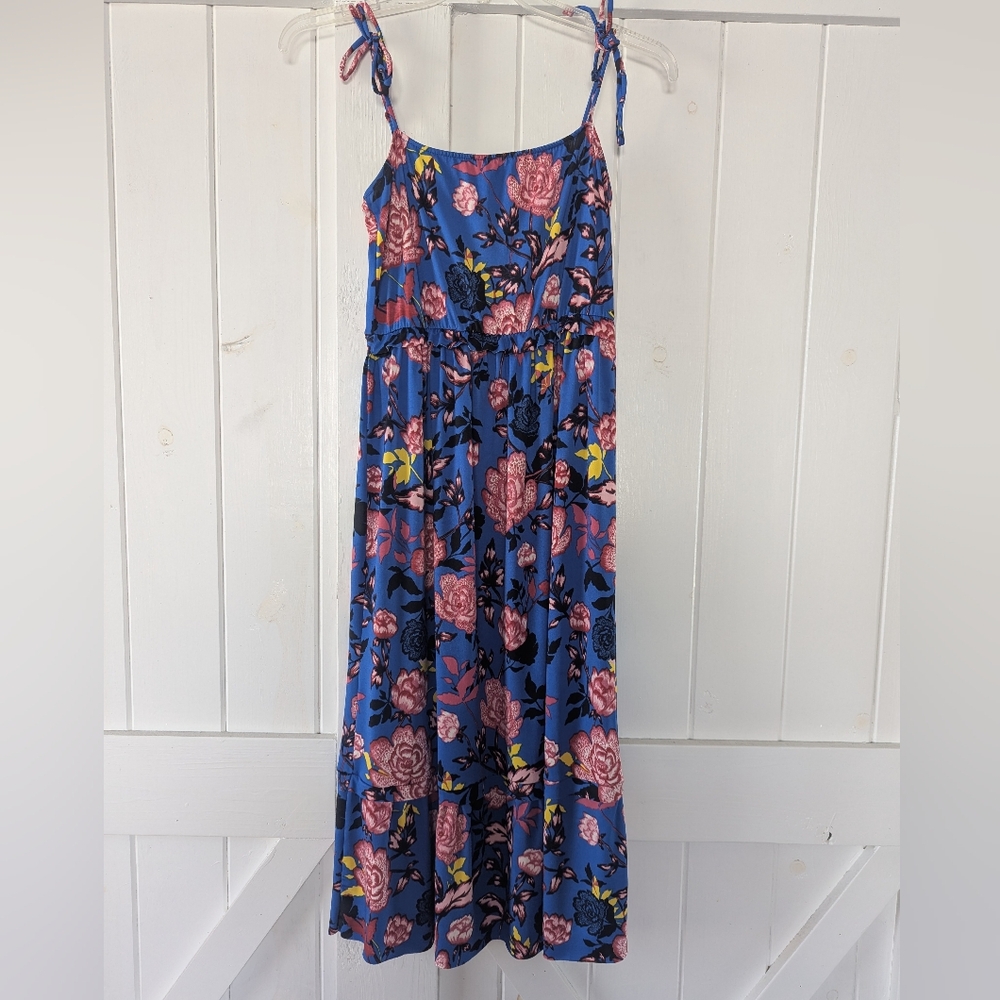 Velvet Torch Blue and Pink Floral Dress